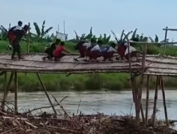 Viral Siswa SD Menyeberangi Jembatan Panjang Dan Miring ke Sekolah